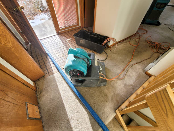 Best Carpet water damage restoration  in Hebron, IN